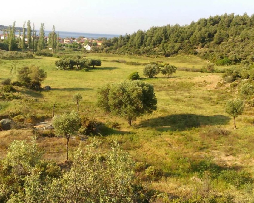 Land in Toroni, Chalkidiki
