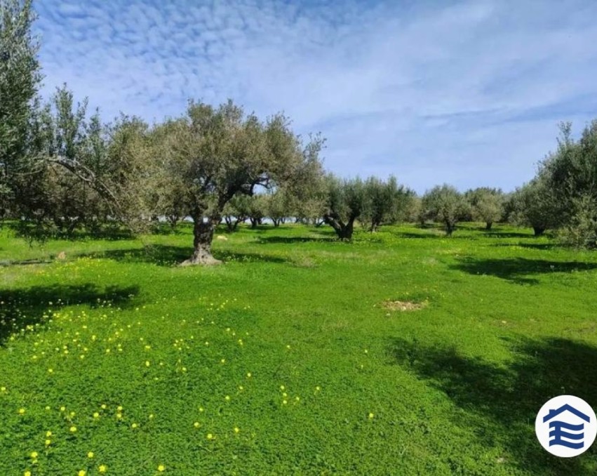 Land in Sisi, Kreta