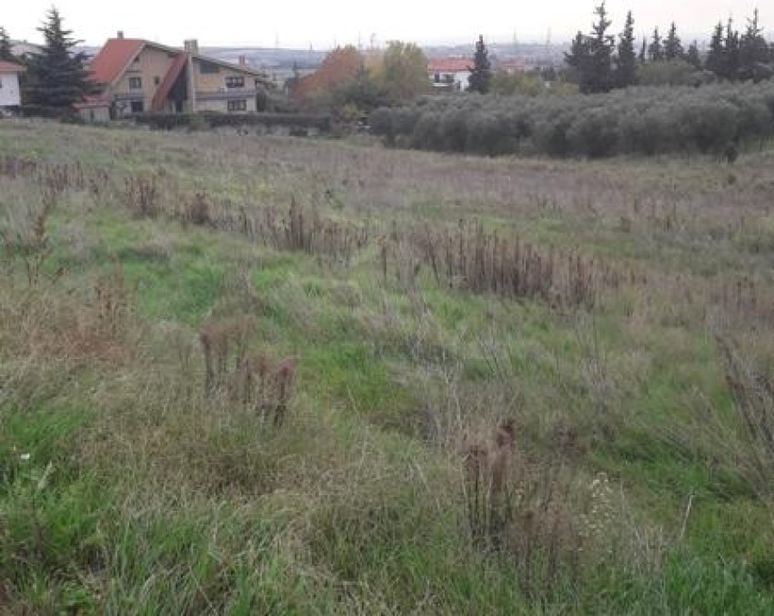 Terrain à Paleokastro, Thessalonique