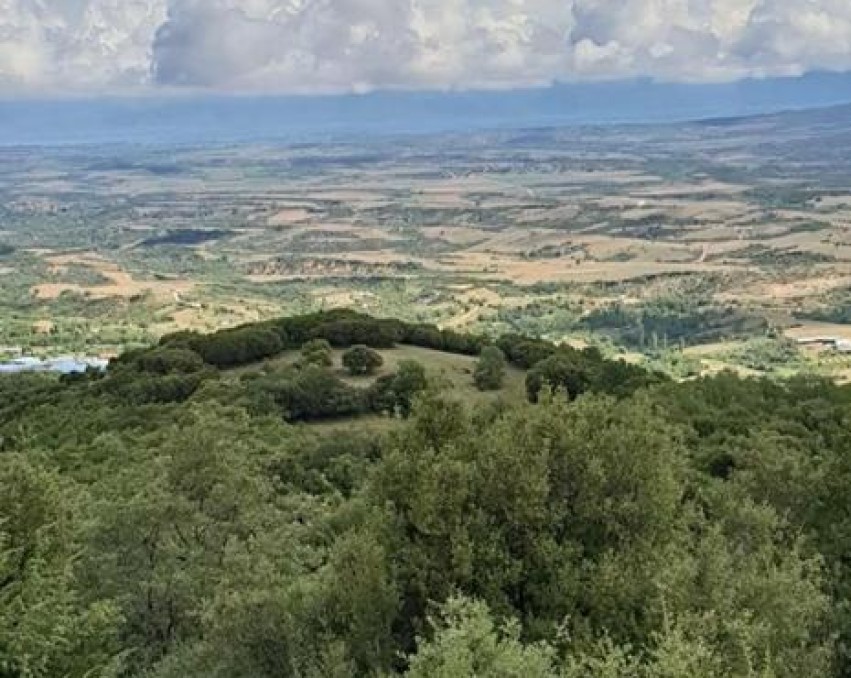 Terrain à Polygyros, Halkidiki