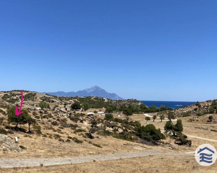 Land in Kriaritsi, Chalkidiki