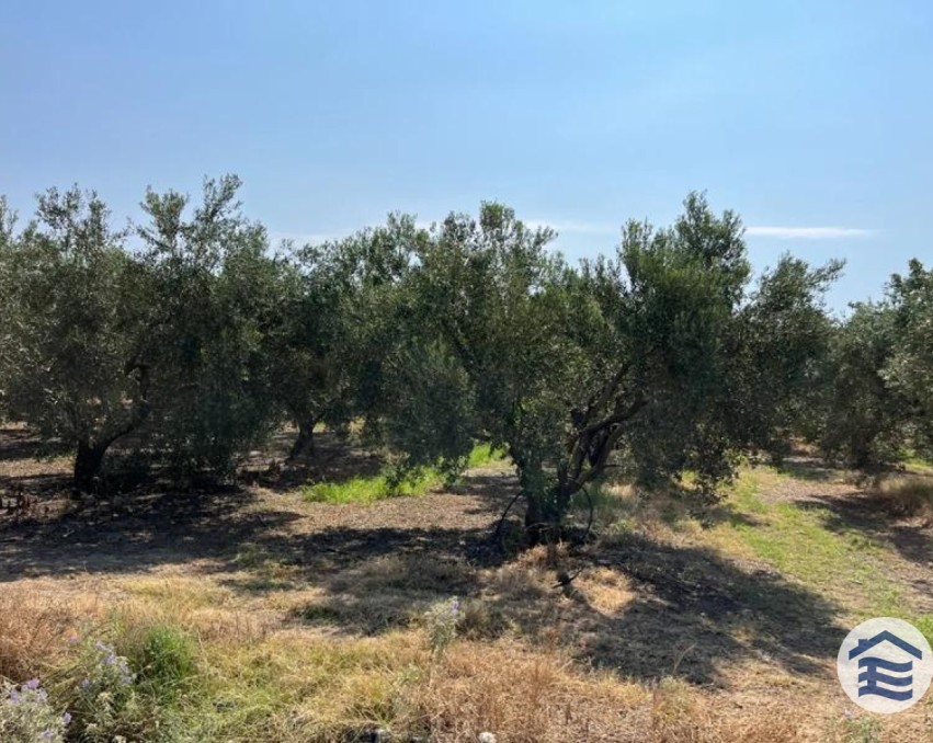 Landwirtschaftliches Grundstück, Nea Kallikratia, Chalkidiki