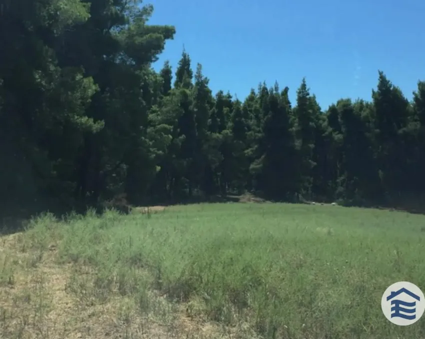 Agricultural plot in Sani, Halkidiki